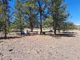 235 Maricopa Trail - Photo 3