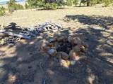 235 Maricopa Trail - Photo 4