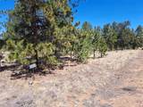 235 Maricopa Trail - Photo 6