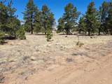 235 Maricopa Trail - Photo 8