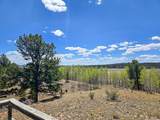 487 Indian Lane - Photo 22