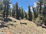 5013 Middle Fork Vista - Photo 39