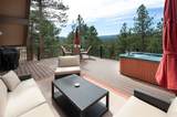 29310 Buchanan Drive - Photo 11