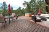29310 Buchanan Drive - Photo 12