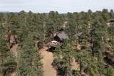 29310 Buchanan Drive - Photo 39