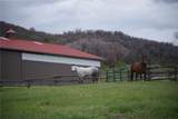 50320 Semotan Drive - Photo 42