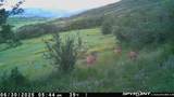 50320 Semotan Drive - Photo 44