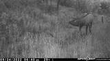 50320 Semotan Drive - Photo 45