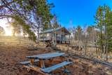 81 Pistol Way - Photo 10
