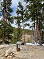897 Gold Pan Lane - Photo 8
