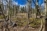 270 Co Rd 667 - Photo 34