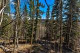 270 Co Rd 667 - Photo 35