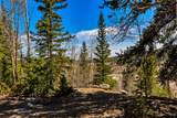 270 Co Rd 667 - Photo 37