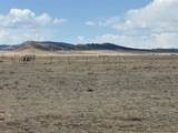 7125 Rio Blanco Road - Photo 14