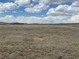 7125 Rio Blanco Road - Photo 20