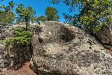 360 Musket Lane - Photo 35