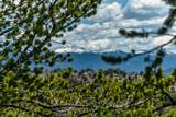 360 Musket Lane - Photo 41