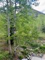 337 Streamside Lane - Photo 19