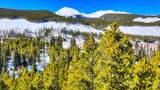 125 Pennsylvania Creek Trail - Photo 12
