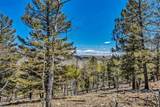 5544 Middle Fork Vista - Photo 12