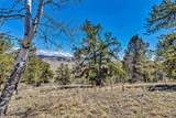5544 Middle Fork Vista - Photo 16
