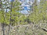 5544 Middle Fork Vista - Photo 18