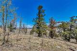 5544 Middle Fork Vista - Photo 19