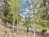 5544 Middle Fork Vista - Photo 3