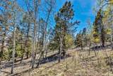 5544 Middle Fork Vista - Photo 36