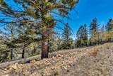5544 Middle Fork Vista - Photo 40