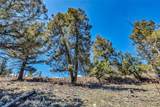 5544 Middle Fork Vista - Photo 41