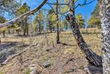5544 Middle Fork Vista - Photo 43