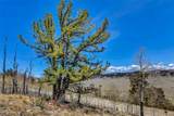5544 Middle Fork Vista - Photo 46