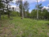 21095 Stampede Way - Photo 3