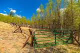 1819 Snyder Creek Road - Photo 28