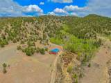 1819 Snyder Creek Road - Photo 46
