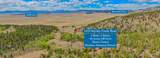 1819 Snyder Creek Road - Photo 49