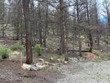 225 Trout Creek Lane - Photo 11