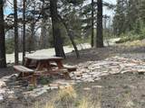 225 Trout Creek Lane - Photo 12