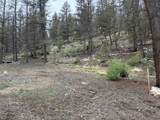 225 Trout Creek Lane - Photo 13