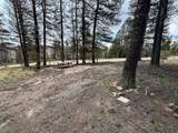 225 Trout Creek Lane - Photo 14