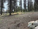 225 Trout Creek Lane - Photo 18