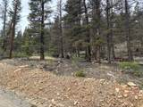 225 Trout Creek Lane - Photo 19
