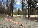 225 Trout Creek Lane - Photo 20
