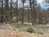 225 Trout Creek Lane - Photo 24