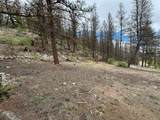 225 Trout Creek Lane - Photo 7