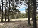 225 Trout Creek Lane - Photo 8