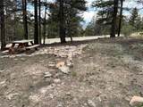 225 Trout Creek Lane - Photo 9