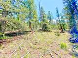 224 Apache Trail - Photo 15
