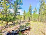 224 Apache Trail - Photo 5